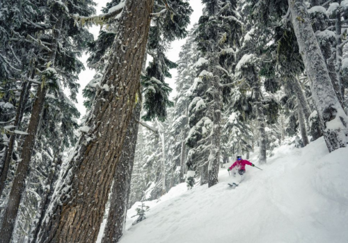 Skiing Whistler Blackcomb Snowscene Luxury Travel Ski Holidays