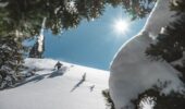 A view from behind snow laden trees of a skiier descending a slope