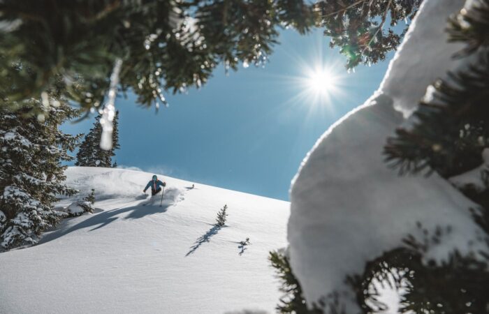 A view from behind snow laden trees of a skiier descending a slope