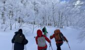 Skiers skiing through snowy terrain at Zao Onsen Japan