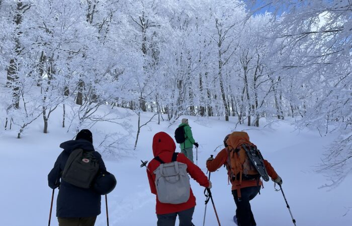Skiers skiing through snowy terrain at Zao Onsen Japan