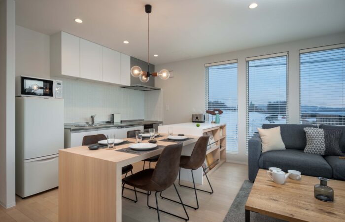 Kitchen facilities at Arthouse Apartments accommodation in Furano Japan
