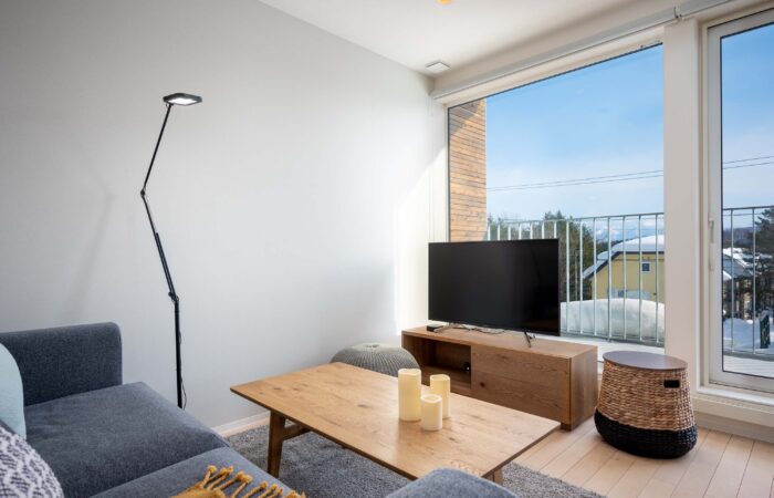 Lounge room with television at Arthouse Apartments accommodation Furano